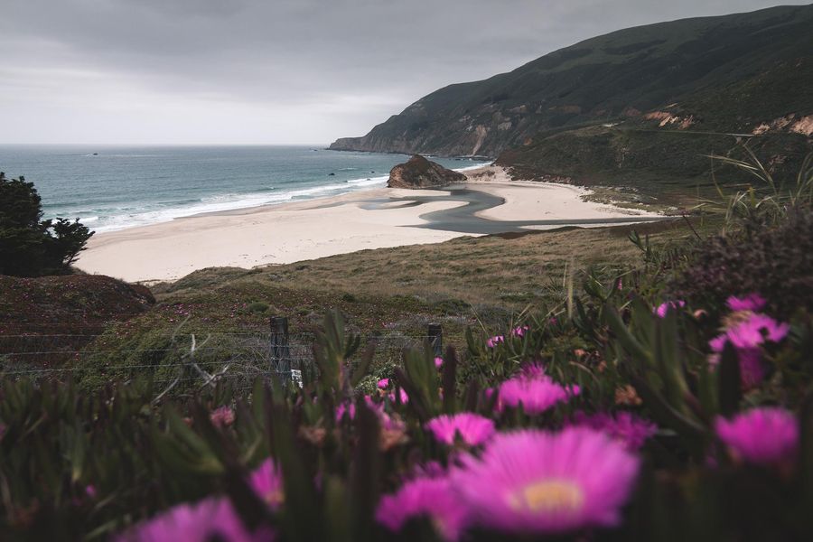 a beach in California