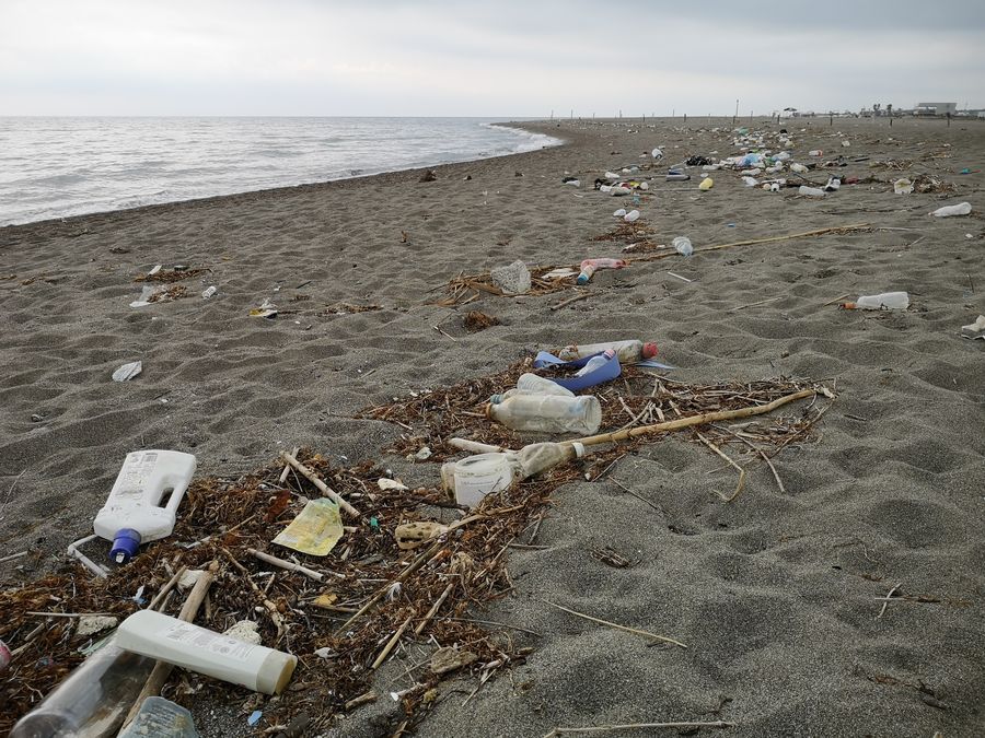 trash on Velipoje beach