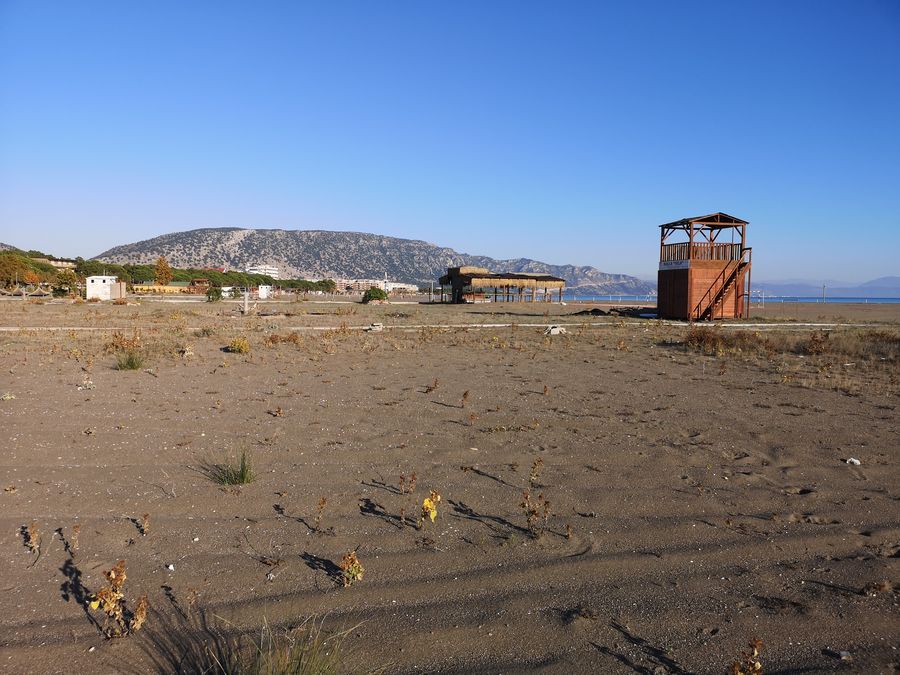 Albania Velipoje beach with spiky plants