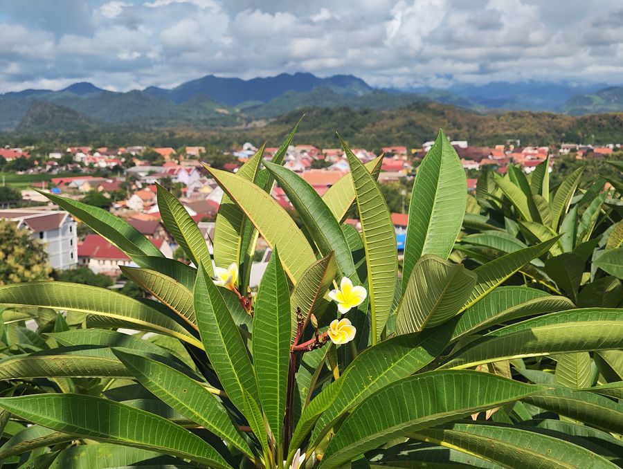 frangipani - sustainable Luang Prabang View Hotel Laos