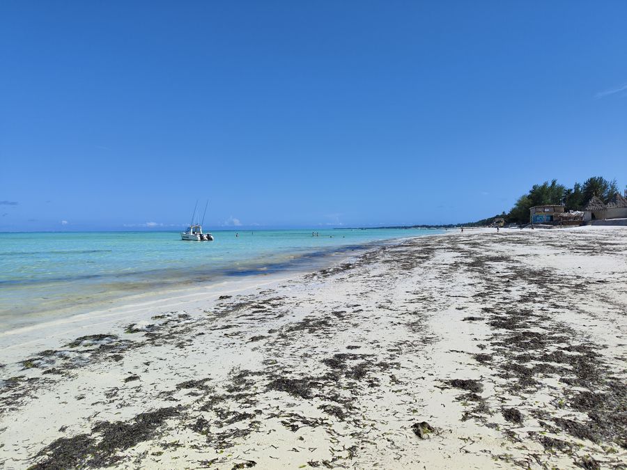Paje Zanzibar guide - Paje beach