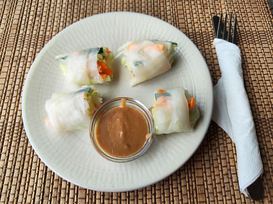 Paje Zanzibar guide - The Plants summer rolls