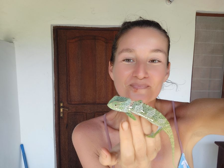 challenging 2024 year - chameleon in Zanzibar
