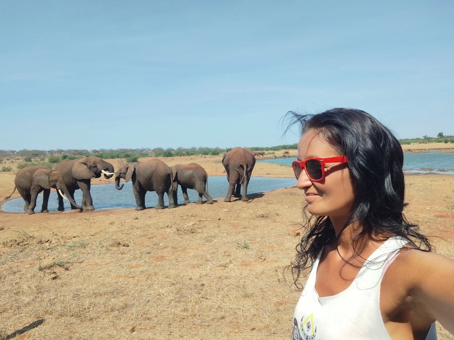 challenging 2024 year - with elephants in Tsavo East NP Kenya