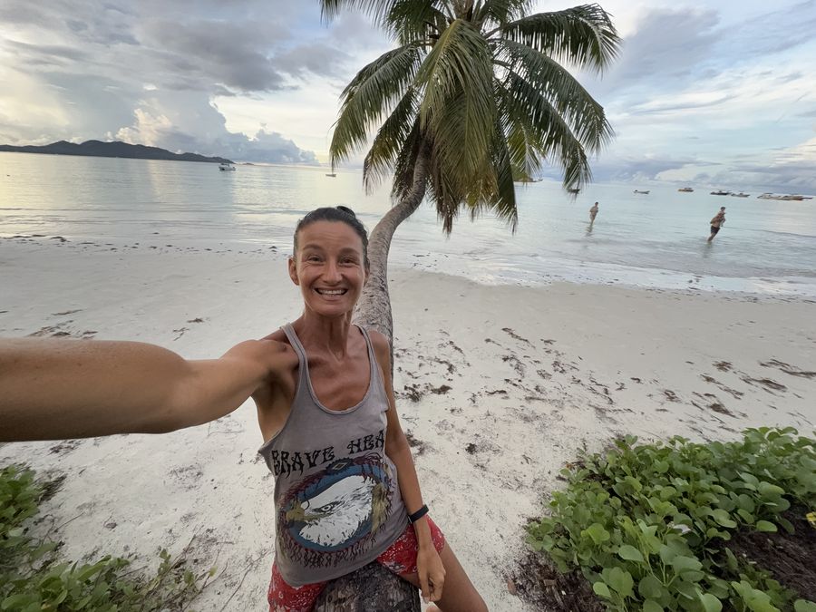 on horizontal palm tree beach Cote D'Or Praslin