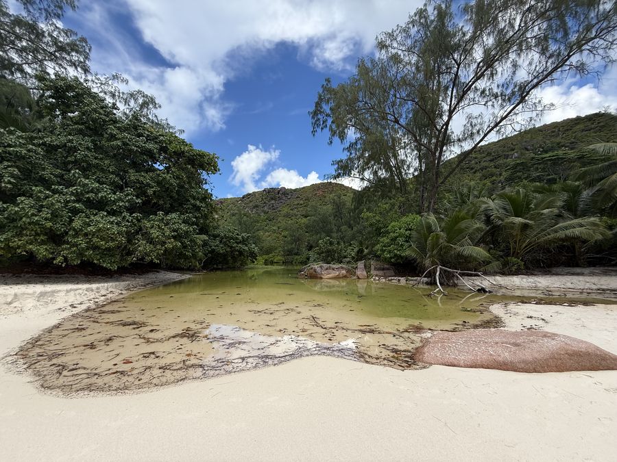 beach Anse Lazio Praslin Seychelles river